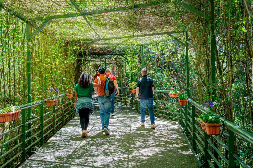 imagen del parque arvi