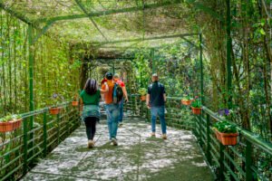 Medellín apuesta por un turismo que restaure la naturaleza y beneficie a las comunidades